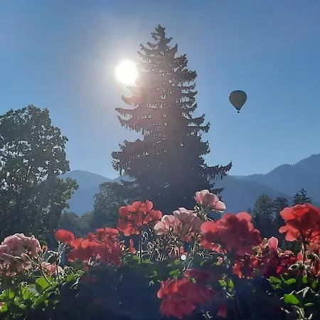 Lovely In *